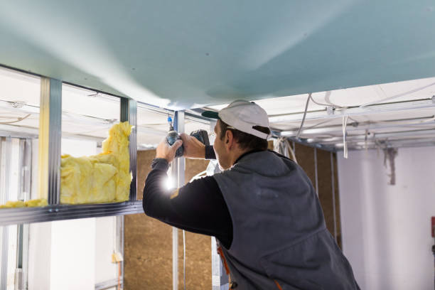Best Commercial Insulation in Hoover, AL